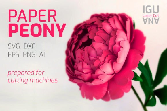 3D SVG Paper Flowers Peony Template Review